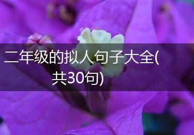 二年级的拟人句子大全(共30句)