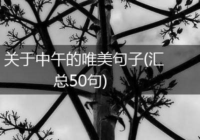 关于中午的唯美句子(汇总50句)