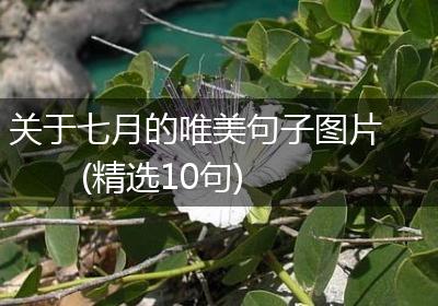 关于七月的唯美句子图片(精选10句)