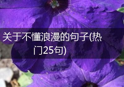 关于不懂浪漫的句子(热门25句)