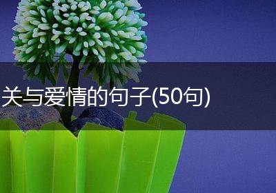 关与爱情的句子(50句)