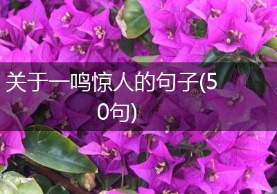 关于一鸣惊人的句子(50句)