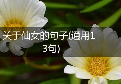关于仙女的句子(通用13句)
