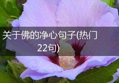 关于佛的净心句子(热门22句)