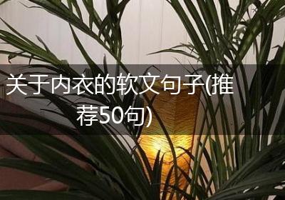 关于内衣的软文句子(推荐50句)