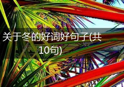 关于冬的好词好句子(共10句)