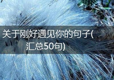关于刚好遇见你的句子(汇总50句)
