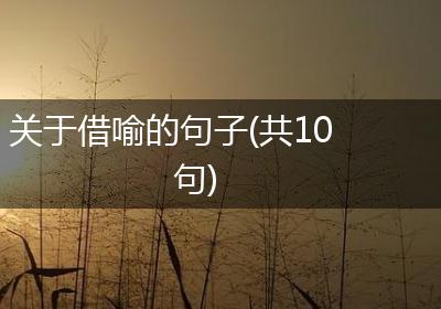 关于借喻的句子(共10句)