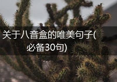 关于八音盒的唯美句子(必备30句)