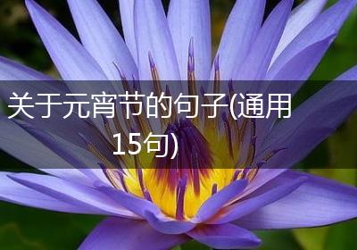 关于元宵节的句子(通用15句)