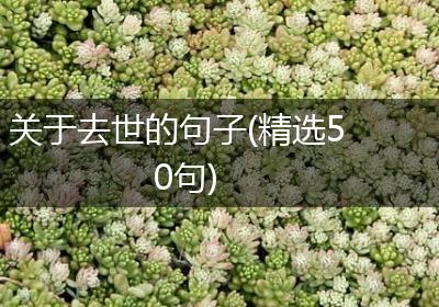 关于去世的句子(精选50句)