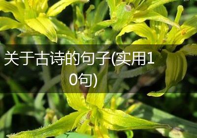 关于古诗的句子(实用10句)