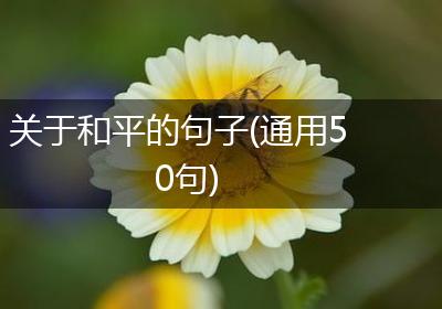 关于和平的句子(通用50句)