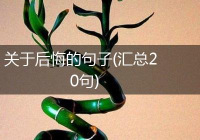 关于后悔的句子(汇总20句)