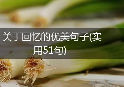 关于回忆的优美句子(实用51句)