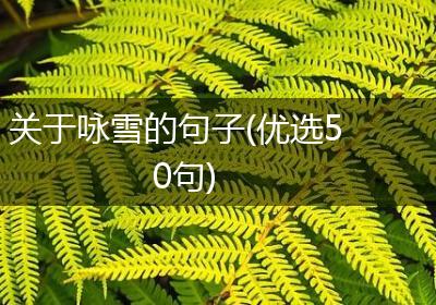 关于咏雪的句子(优选50句)
