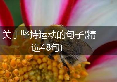 关于坚持运动的句子(精选48句)