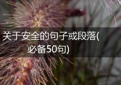 关于安全的句子或段落(必备50句)