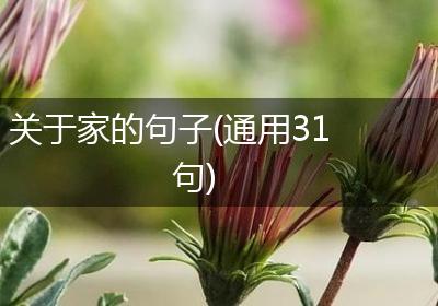 关于家的句子(通用31句)