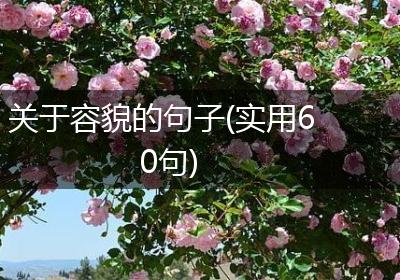 关于容貌的句子(实用60句)