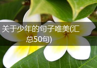 关于少年的句子唯美(汇总50句)
