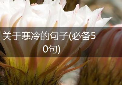关于寒冷的句子(必备50句)