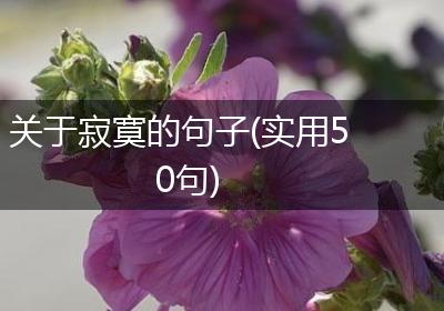 关于寂寞的句子(实用50句)