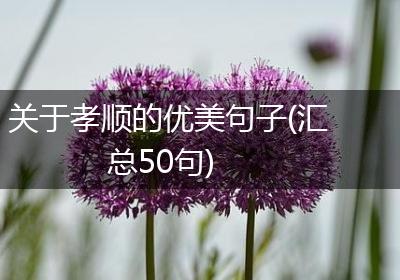 关于孝顺的优美句子(汇总50句)