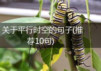 关于平行时空的句子(推荐10句)