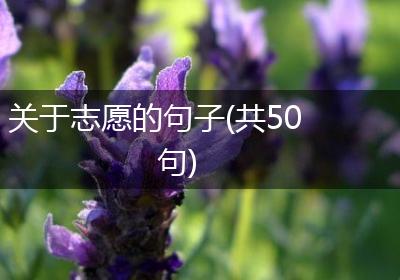 关于志愿的句子(共50句)