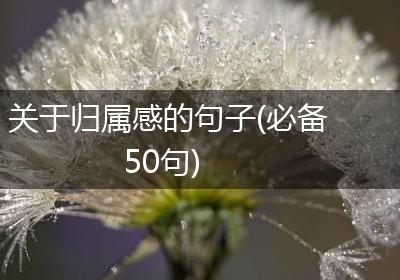 关于归属感的句子(必备50句)
