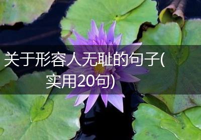 关于形容人无耻的句子(实用20句)