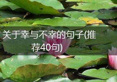 关于幸与不幸的句子(推荐40句)