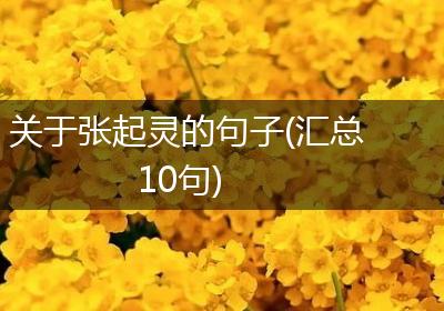 关于张起灵的句子(汇总10句)
