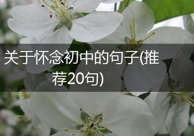 关于怀念初中的句子(推荐20句)