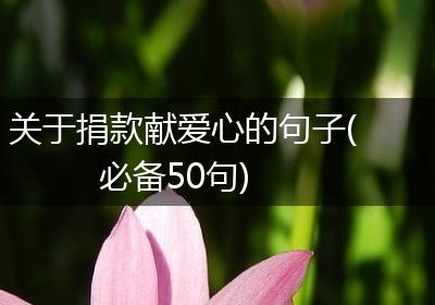 关于捐款献爱心的句子(必备50句)