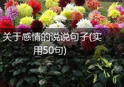 关于感情的说说句子(实用50句)