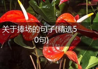 关于捧场的句子(精选50句)