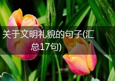 关于文明礼貌的句子(汇总17句)