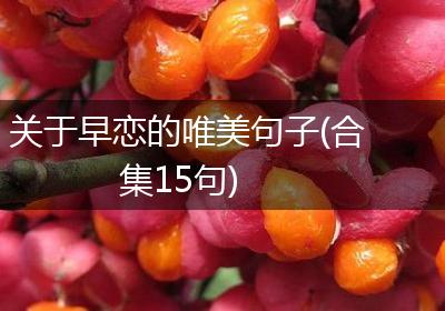 关于早恋的唯美句子(合集15句)