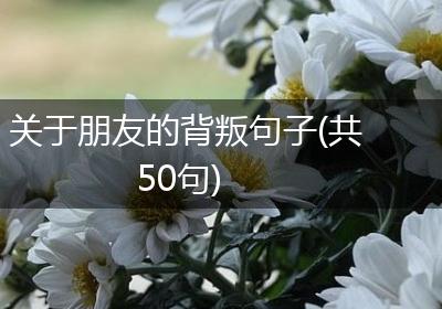 关于朋友的背叛句子(共50句)