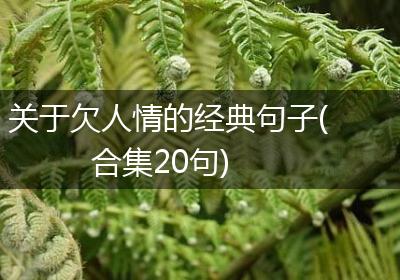 关于欠人情的经典句子(合集20句)