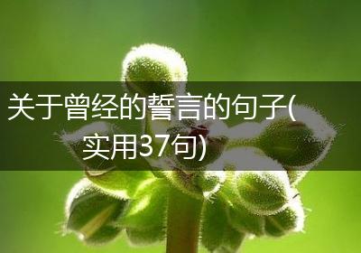 关于曾经的誓言的句子(实用37句)