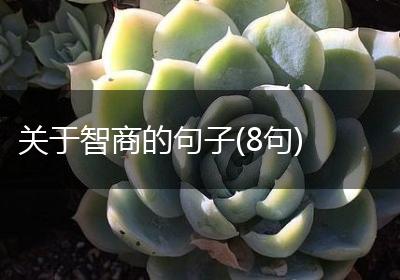 关于智商的句子(8句)