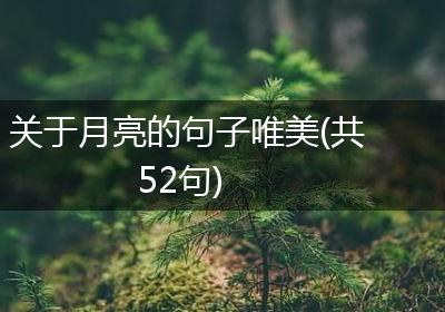 关于月亮的句子唯美(共52句)