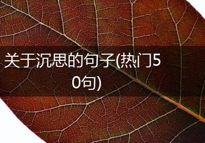 关于沉思的句子(热门50句)