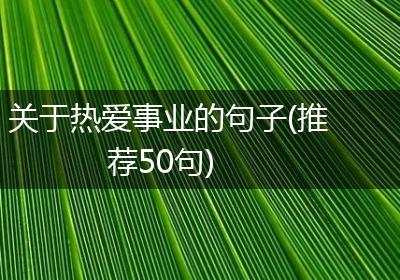 关于热爱事业的句子(推荐50句)