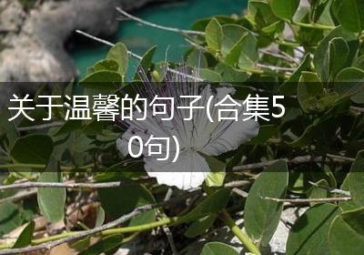 关于温馨的句子(合集50句)
