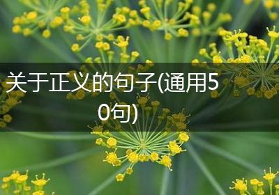 关于正义的句子(通用50句)