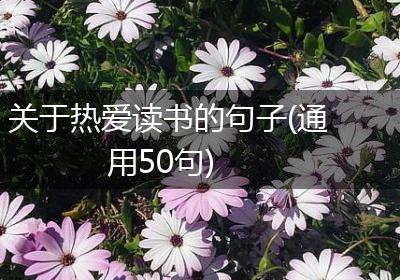 关于热爱读书的句子(通用50句)